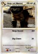 Ninja cat