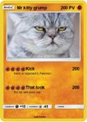 Mr kitty grump