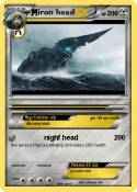 iron head