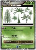 Trees