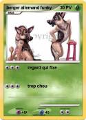 berger allemand