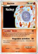 Nucleus