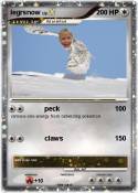 legrsnow
