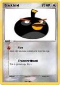 Black bird