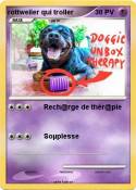 rottweiler qui