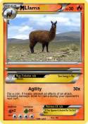 Llama
