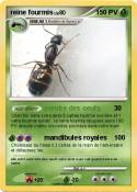 reine fourmis