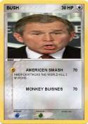BUSH