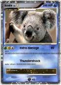 koala