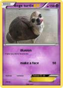 doge turtle