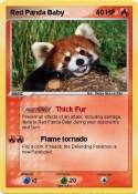 Red Panda Baby