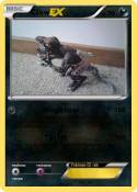 Claw