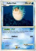 Puffer Fish