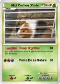 Mici Cochon