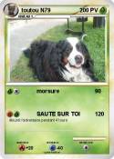 toutou N79