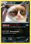 Grumpy cat