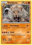 Cheetahness