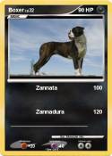 Boxer