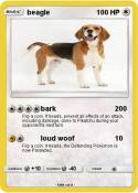 beagle