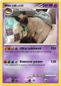 Max cat