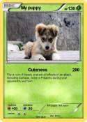 My puppy