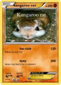 kangaroo rat