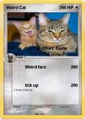 Weird Cat