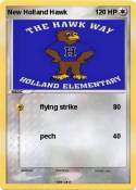 New Holland