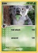 koala