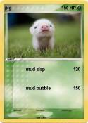 pig