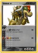 bowser or