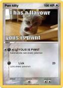 Pwn kitty