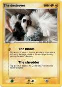 The destroyer