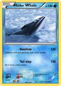 Minke Whale