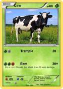 Cow