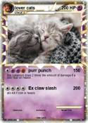 lover cats