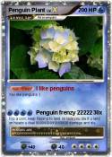Penguin Plant