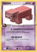 COCHON