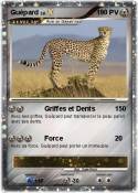 Guépard