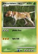 bracco Italiano