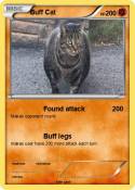 Buff Cat