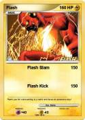 Flash
