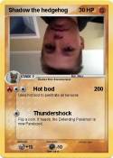 Shadow the hedg