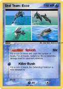 Seal Team: Ecco
