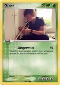 Ginger