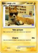 Epic corgi
