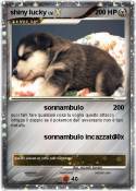 shiny lucky