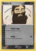 Beard cat