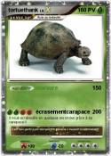 tortuethank