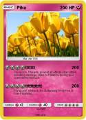 Pika